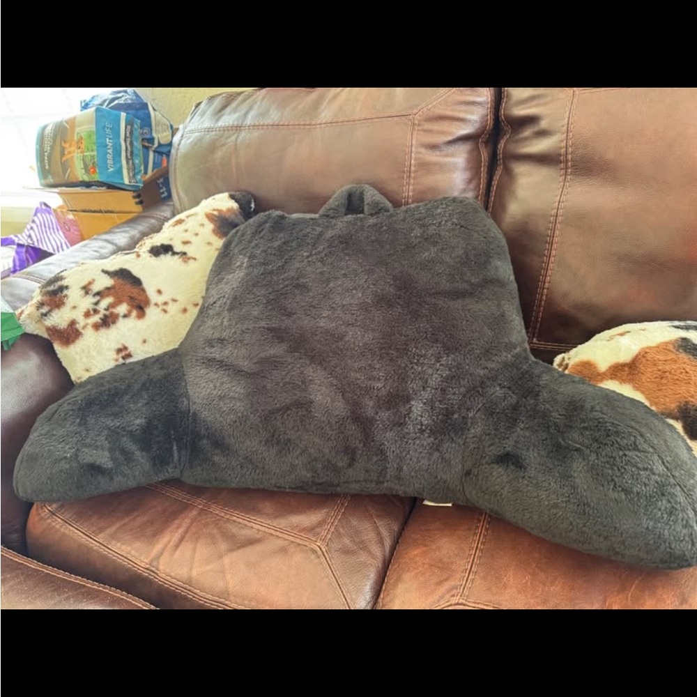 Dark Gray Plush Pillow
